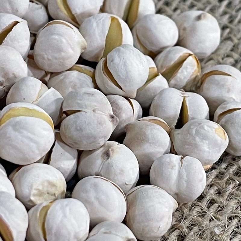 Beyaz Nohut - Fotoğraf 1